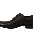 Dolce & Gabbana Elegant Wingtip Derby Oxford Shoes