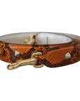 Dolce & Gabbana Chic Orange Leather Bag Strap with Gold-Tone Clasps