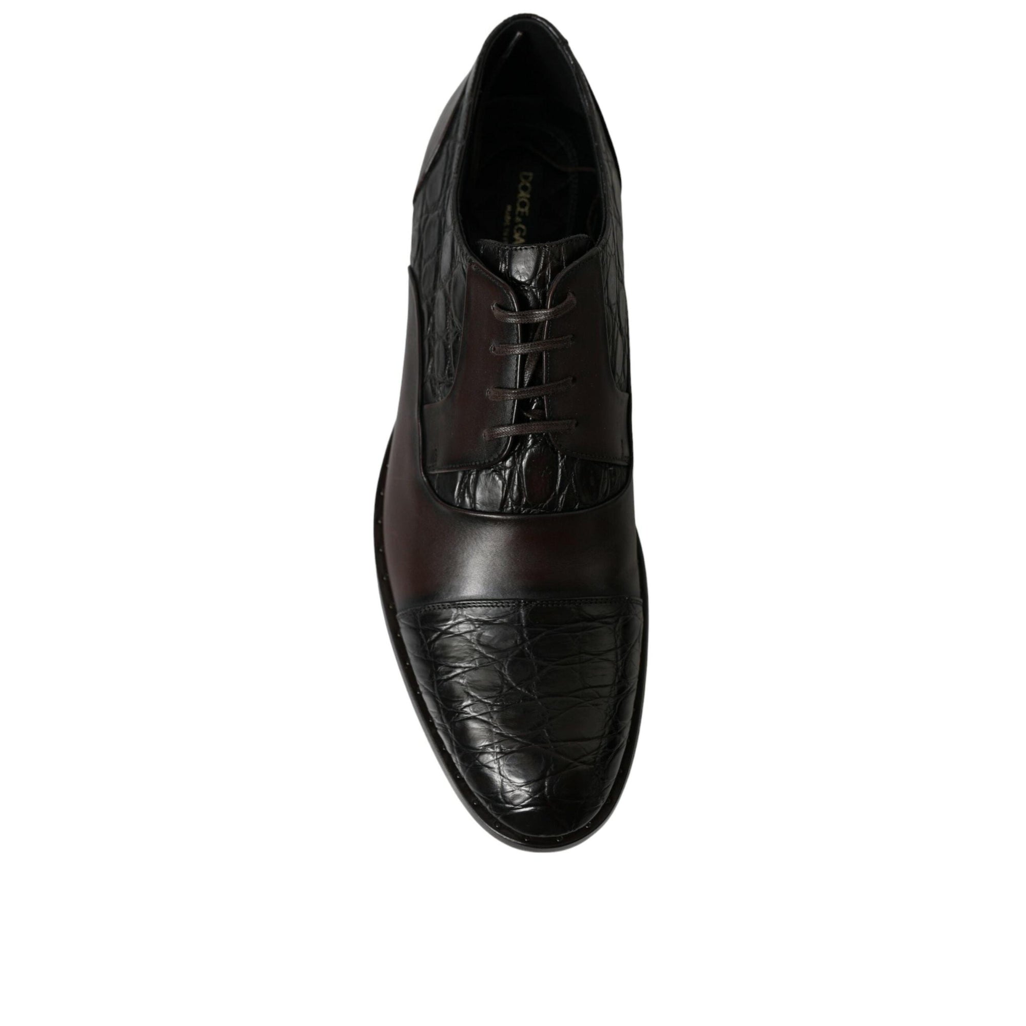 Dolce & Gabbana Elegant Brown Formal Derby Dress Shoes