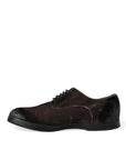 Dolce & Gabbana Elegant Brown Velvet Oxford Lace-up Shoes