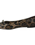 Dolce & Gabbana Brown Leopard Ballerina Flats Leather Shoes