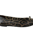 Dolce & Gabbana Brown Leopard Ballerina Flats Leather Shoes