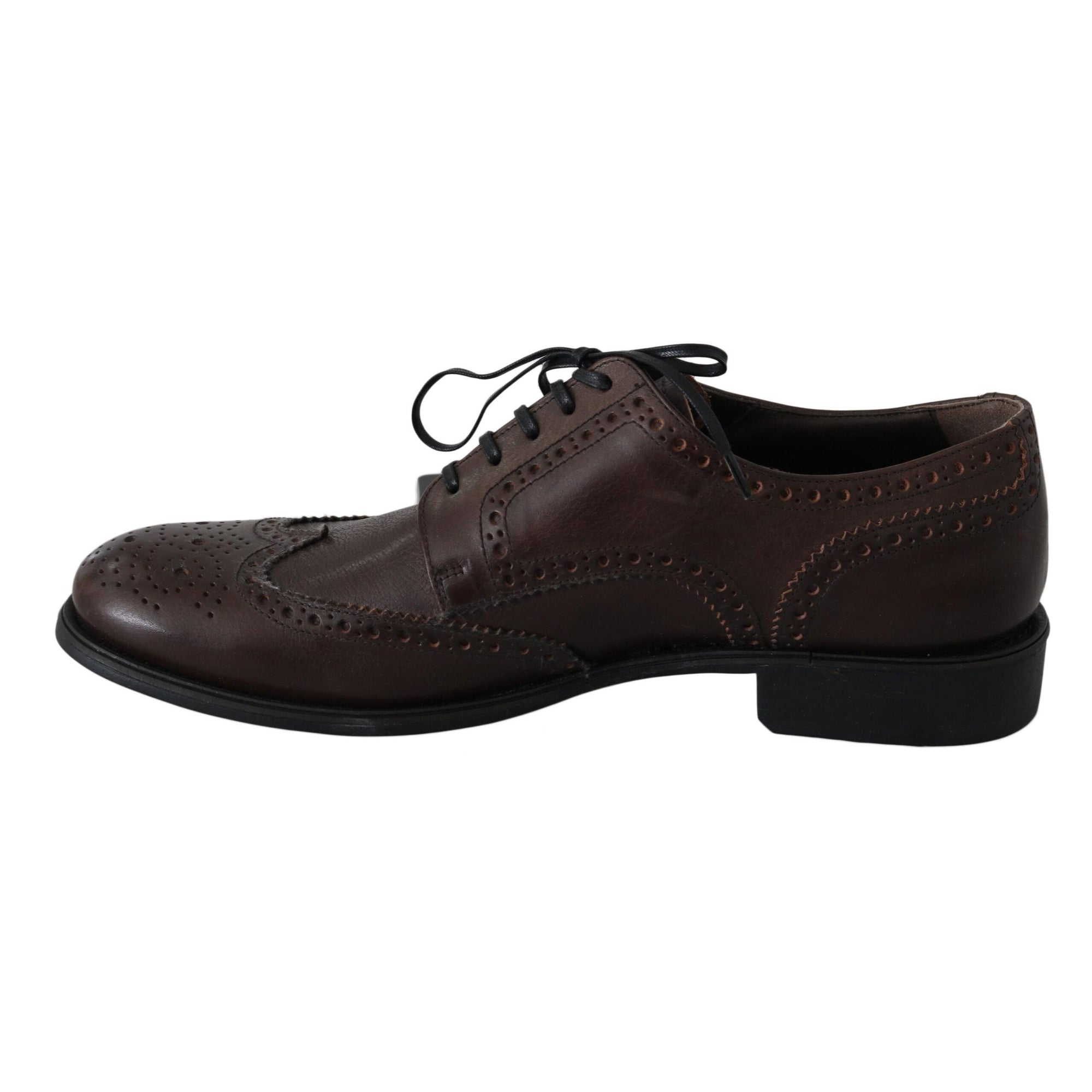 Dolce & Gabbana Elegant Brown Leather Derby Brogues