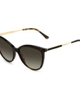 Jimmy Choo Brown Metal Sunglasses