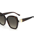 Jimmy Choo Brown Haircalf Sunglasses