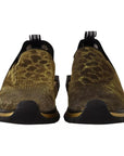 Dolce & Gabbana Gold Glitter Leopard Sorrento Sneakers Shoes