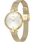 Hugo Boss Gold Stainless Steel Watch