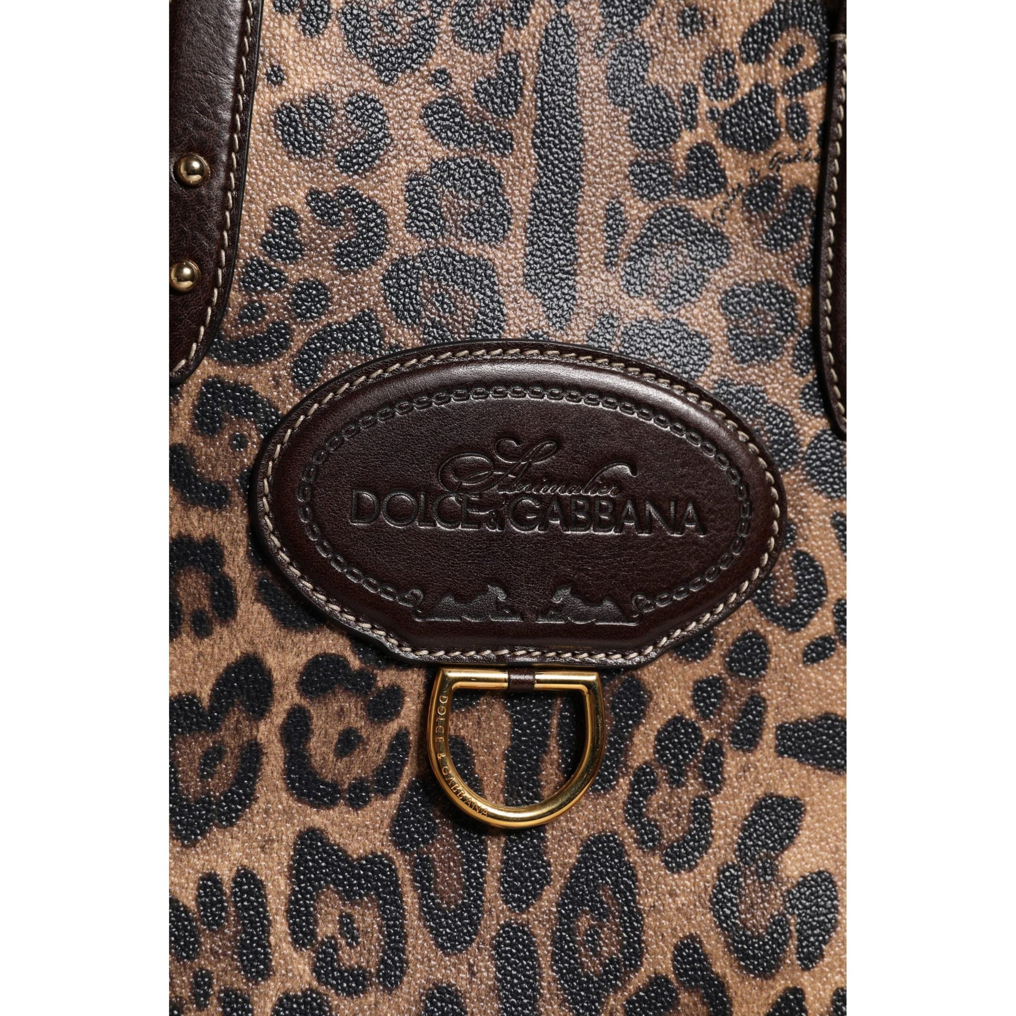 Dolce & Gabbana Brown Leopard Leather Shoulder Strap Tote Bag