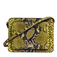 Dolce & Gabbana Green Exotic Leather DG Plaque Crossbody Clutch Bag
