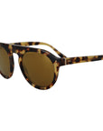 Dolce & Gabbana Chic Tortoiseshell Acetate Sunglasses