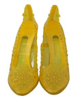 Dolce & Gabbana Enchanting Cinderella Crystal Pumps