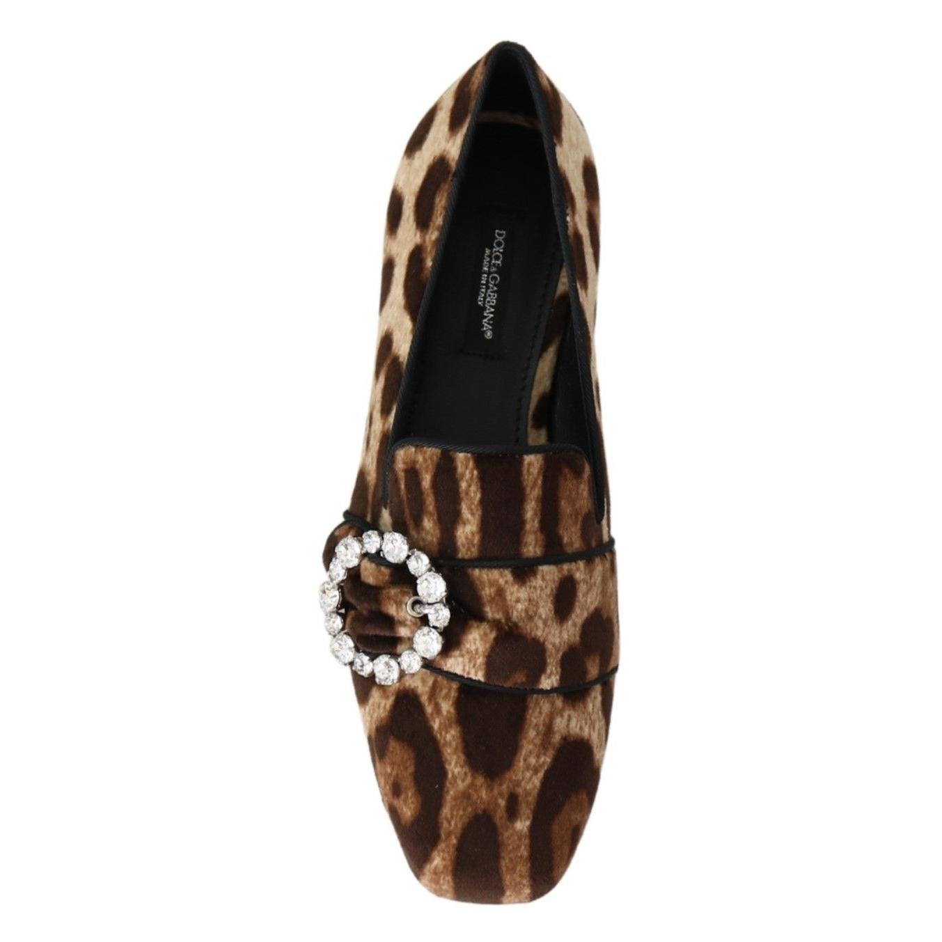 Dolce &amp; Gabbana Leopard Print Crystal Embellished Loafers