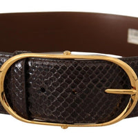 Dolce & Gabbana Elegant Python Leather Belt with Gold Buckle