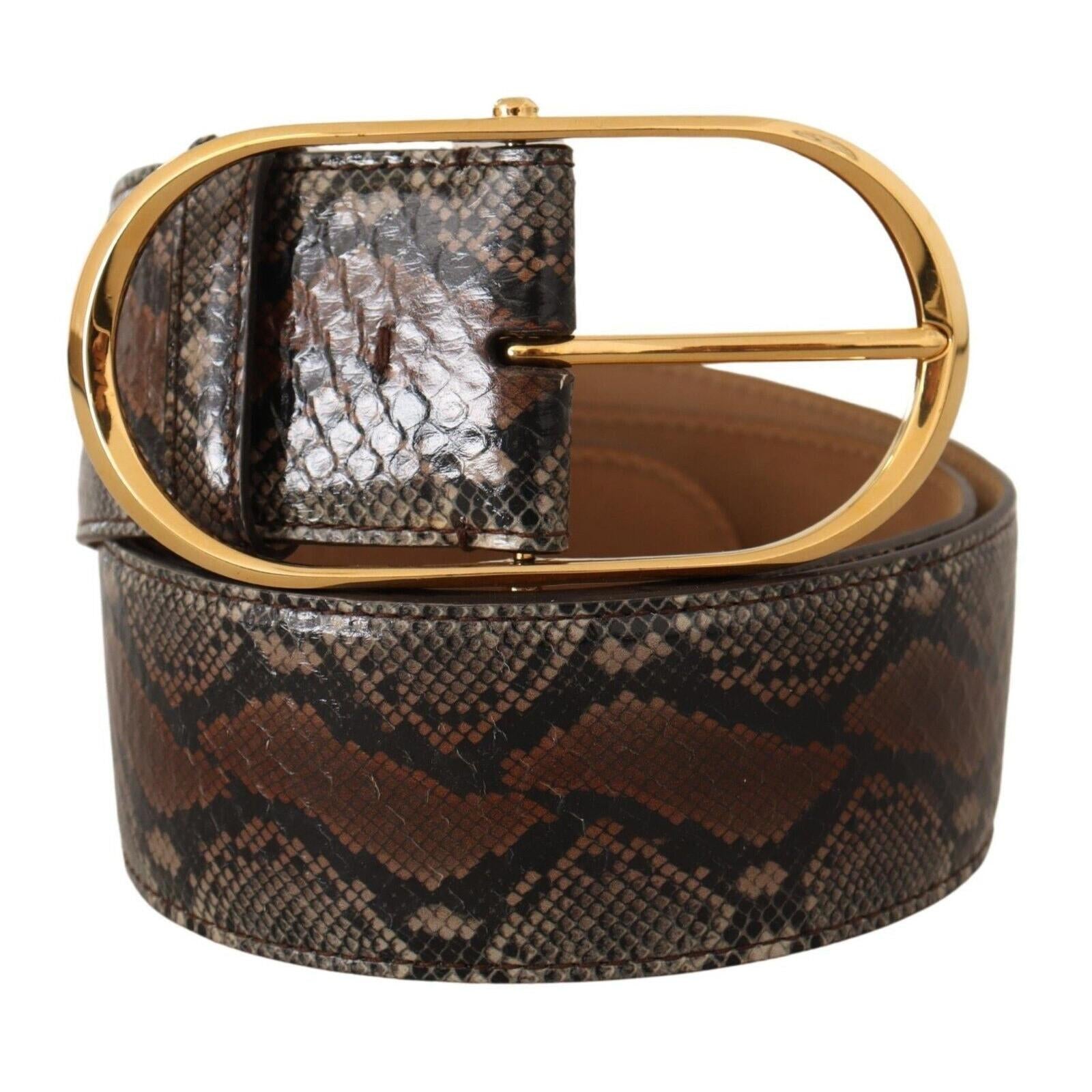 Dolce &amp; Gabbana Elegant Brown Leather Belt with Gold Buckle