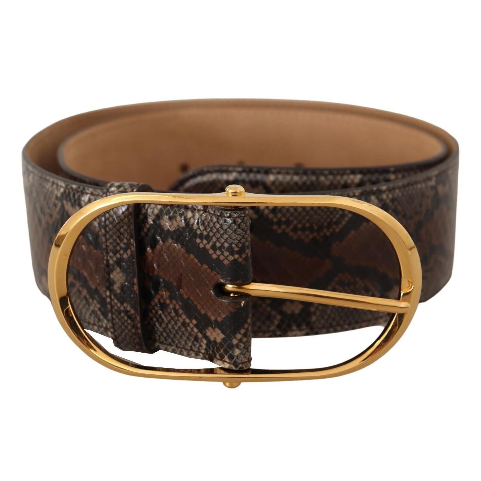 Dolce &amp; Gabbana Elegant Brown Leather Belt with Gold Buckle