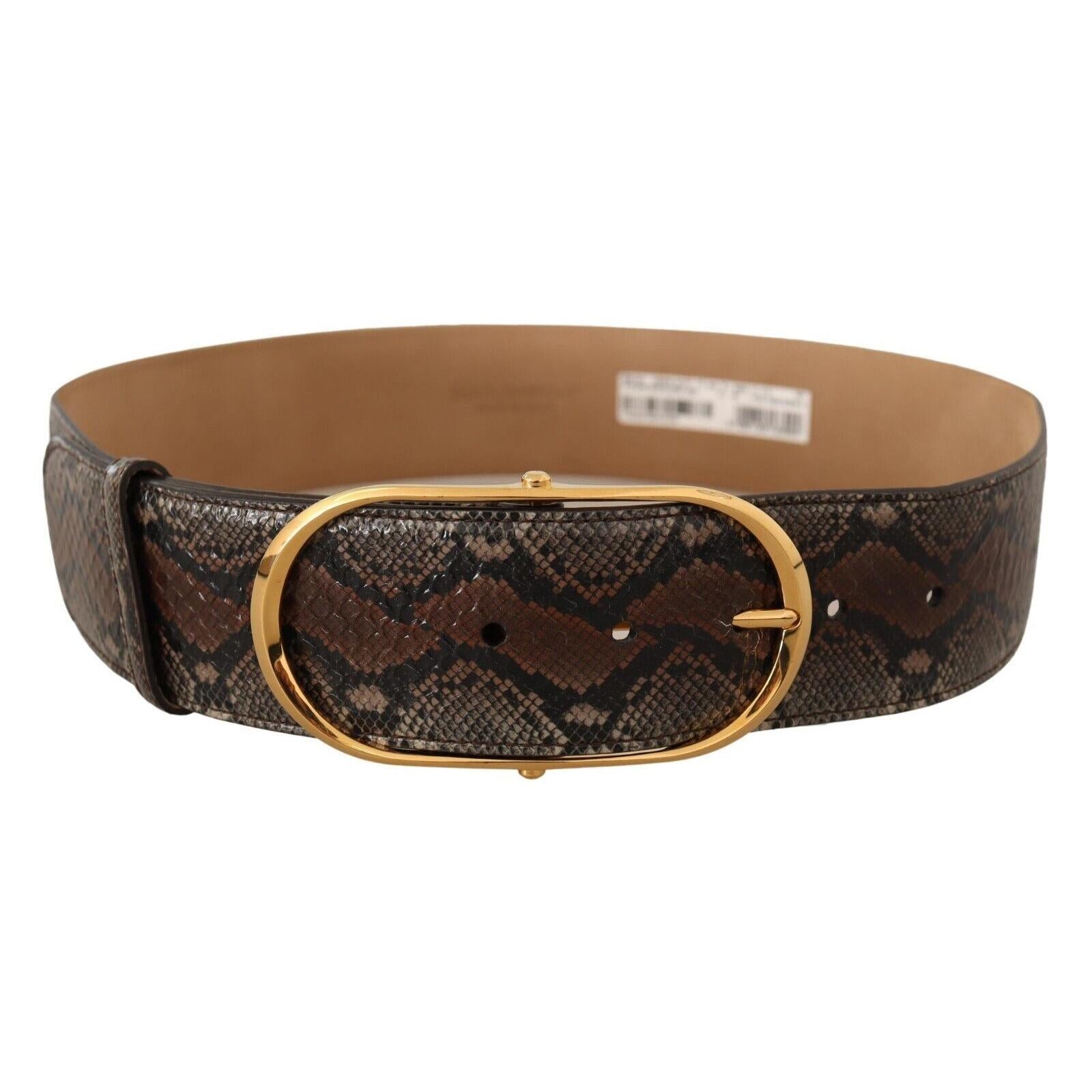 Dolce &amp; Gabbana Elegant Brown Leather Belt with Gold Buckle