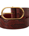 Dolce & Gabbana Elegant Red Snakeskin Leather Belt