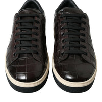 Dolce & Gabbana Elegant Exotic Leather Low-Top Sneakers