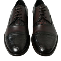 Dolce & Gabbana Elegant Brown Formal Derby Dress Shoes