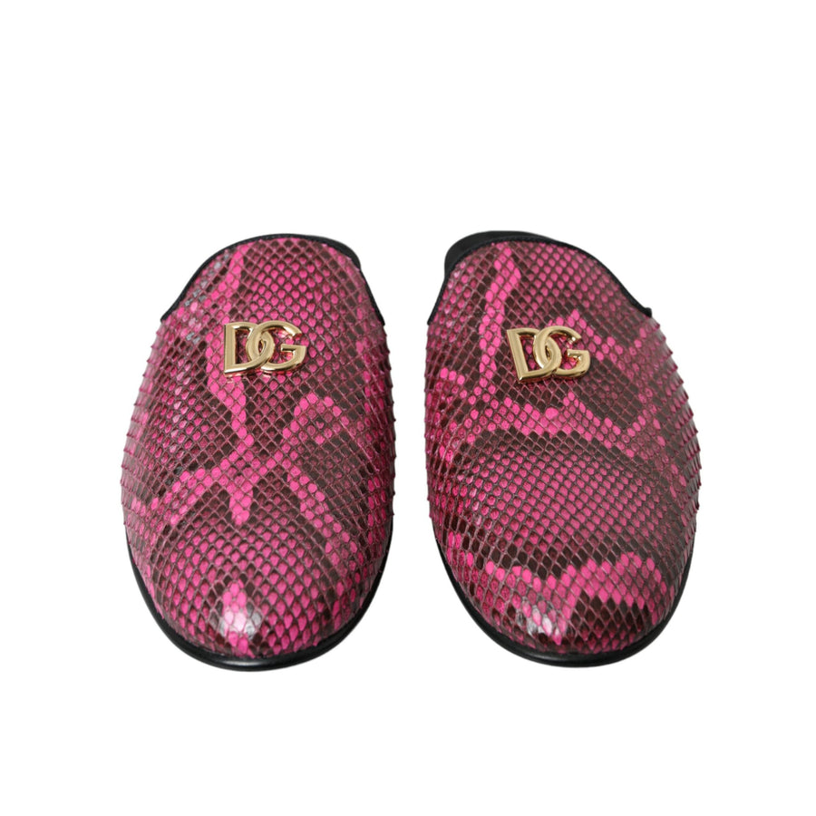 Dolce & Gabbana Fuchsia Python Logo Mule Flat Sandals Shoes