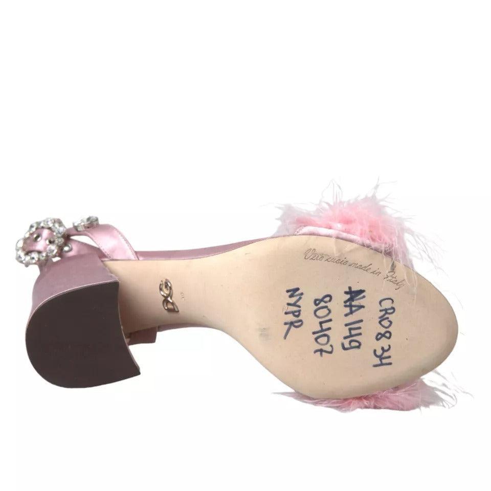 Dolce &amp; Gabbana Pink Turkey Feather Embellished Sandals Shoes