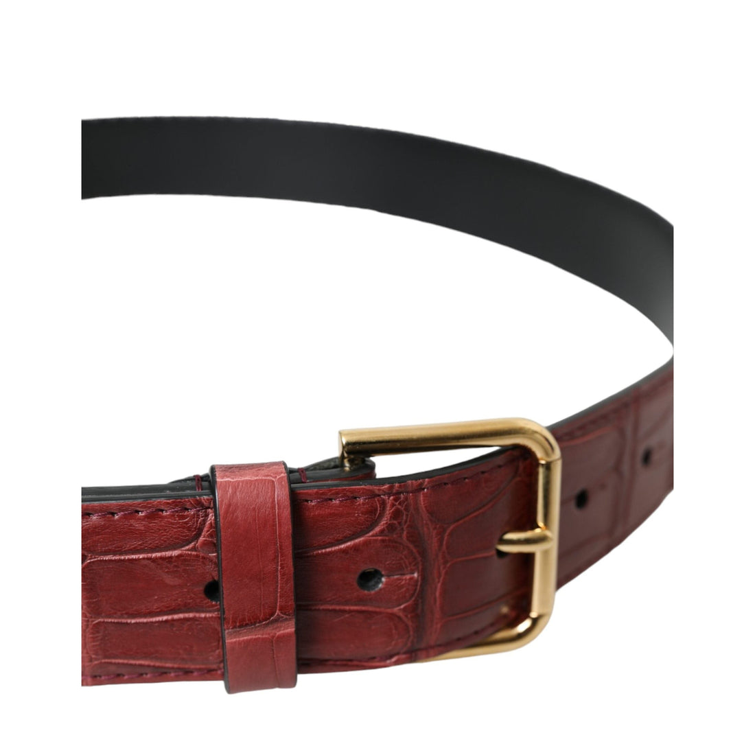 Dolce & Gabbana Brown Alligator Leather Studded Metal Buckle Belt