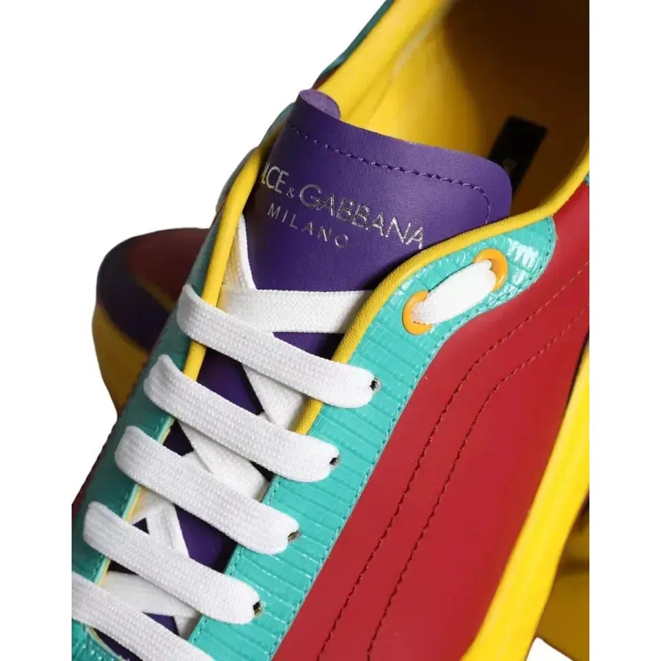 Dolce &amp; Gabbana Multicolor Daymaster Low Top Sneakers Shoes