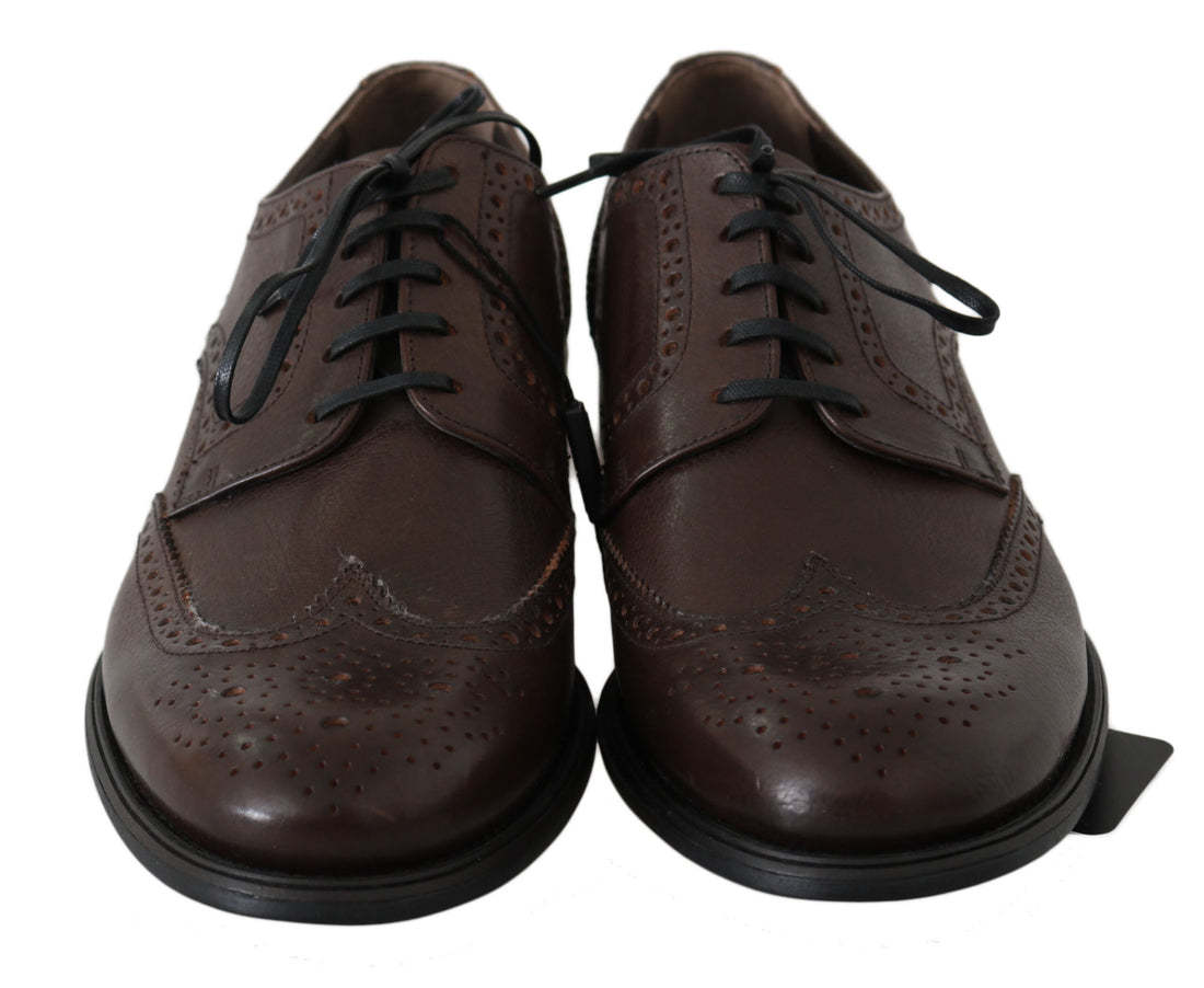 Dolce & Gabbana Elegant Brown Leather Derby Brogues