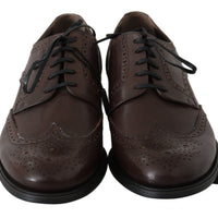 Dolce & Gabbana Elegant Brown Leather Derby Brogues