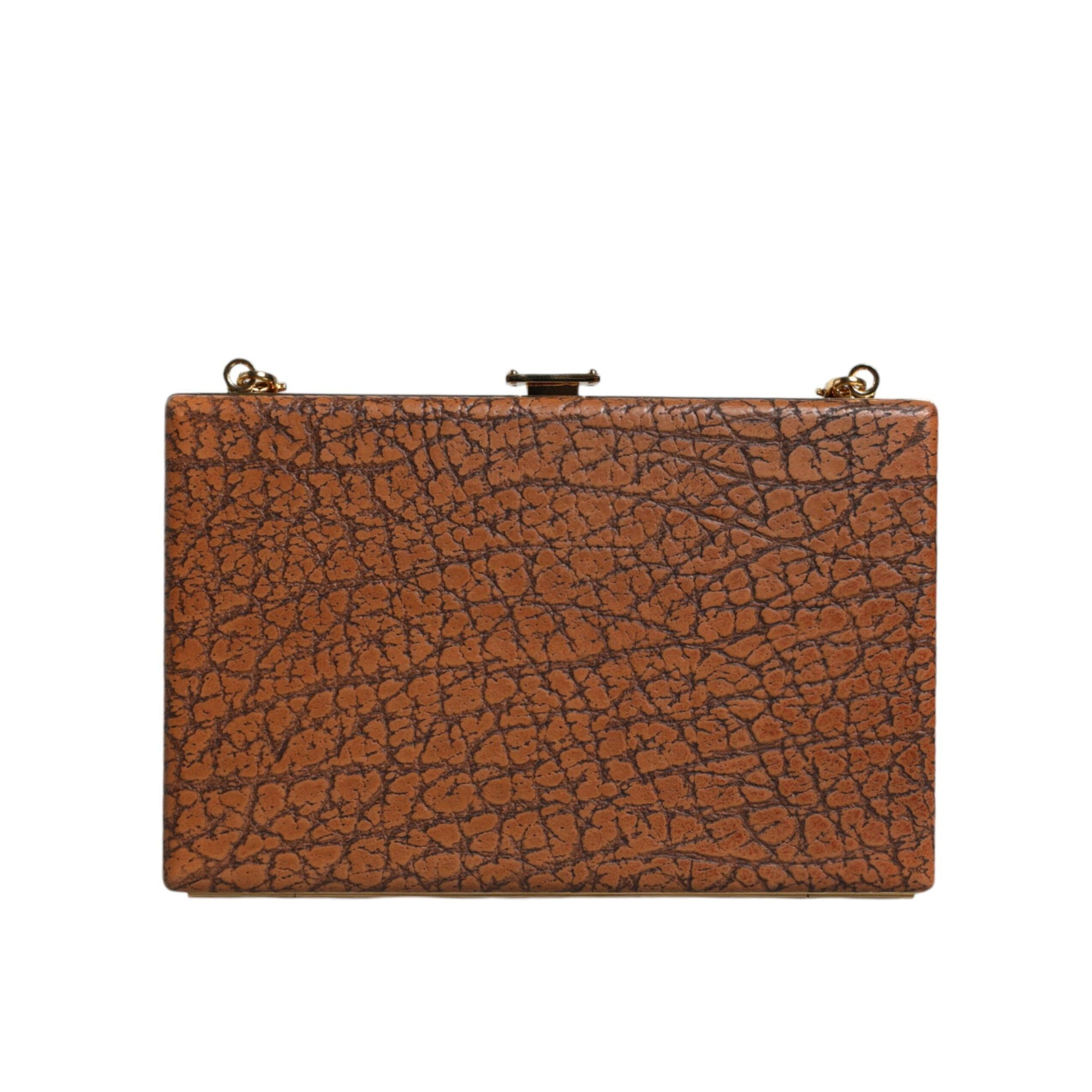 Dolce &amp; Gabbana Brown Leather Gold Frame Clutch Mini Crossbody Bag