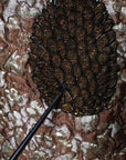 Dolce & Gabbana Brown Jacquard Mambo Pineapple Pullover Sweater
