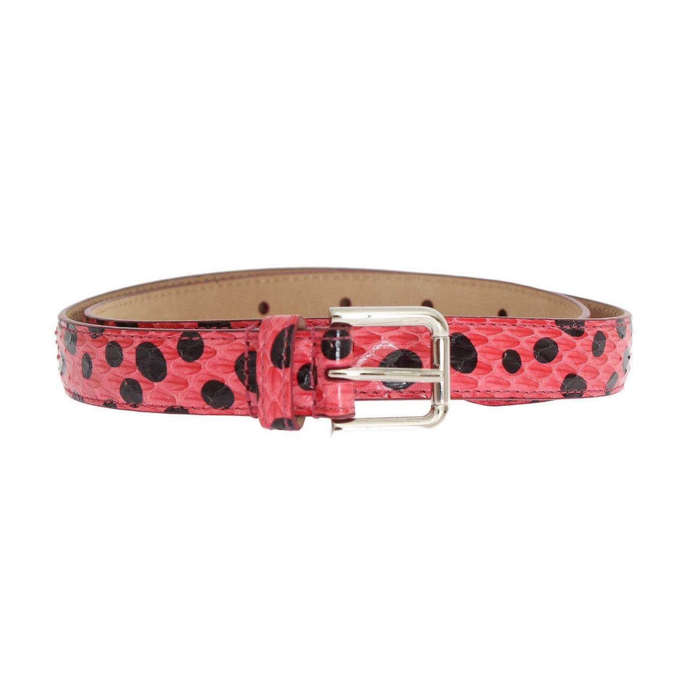 Dolce &amp; Gabbana Polka Dot Snakeskin Belt with Silver Buckle