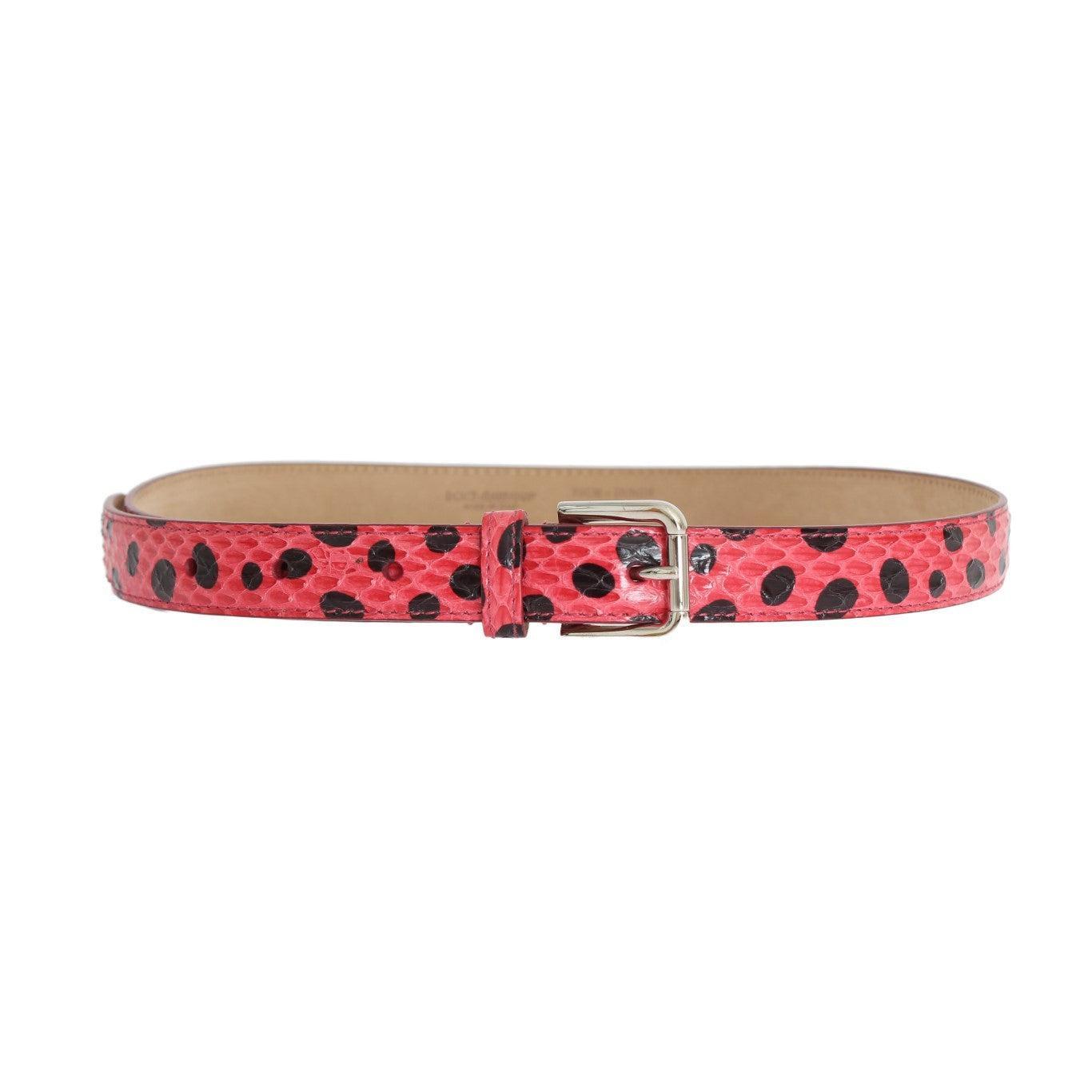 Dolce &amp; Gabbana Polka Dot Snakeskin Belt with Silver Buckle