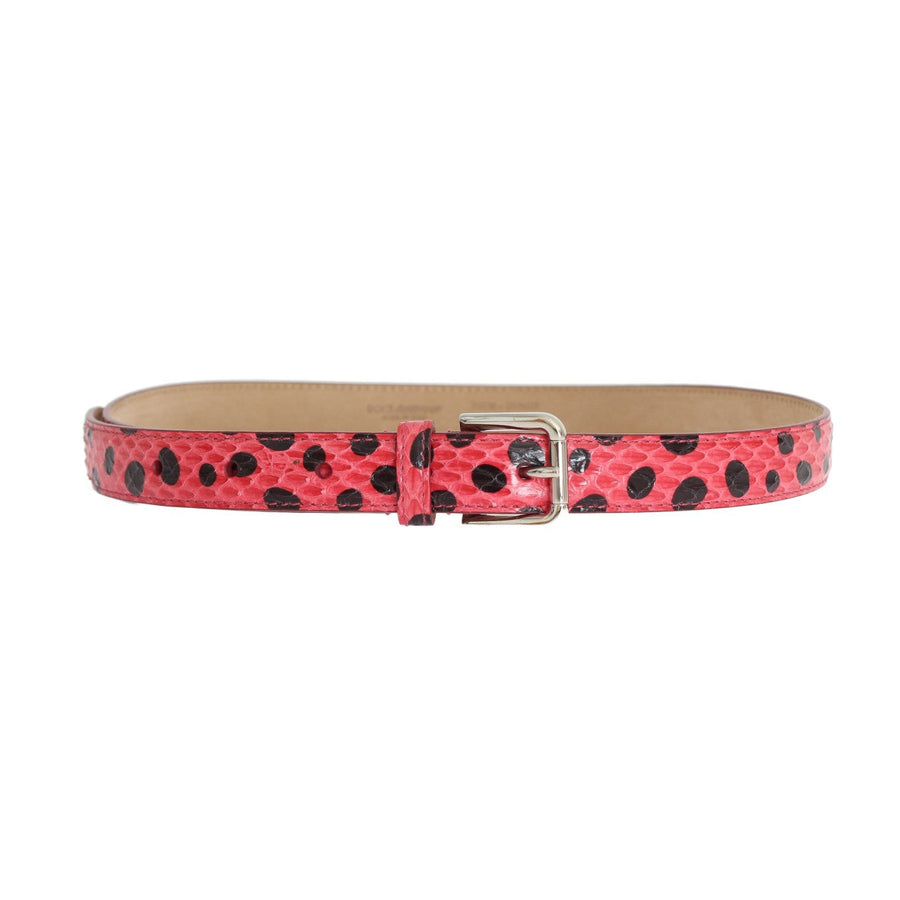 Dolce & Gabbana Polka Dot Snakeskin Belt with Silver Buckle