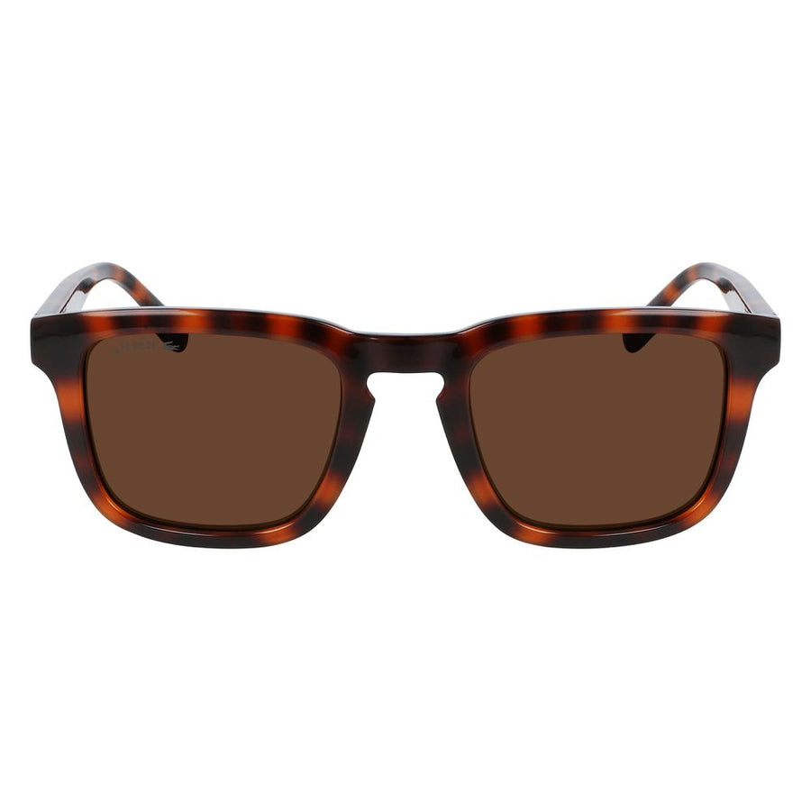 Lacoste Brown Injected Sunglasses