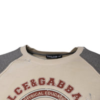 Dolce & Gabbana Beige Gray Graphic Print Cotton Crew Neck T-shirt