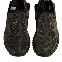 Dolce & Gabbana Gold Glitter Leopard Sorrento Sneakers Shoes