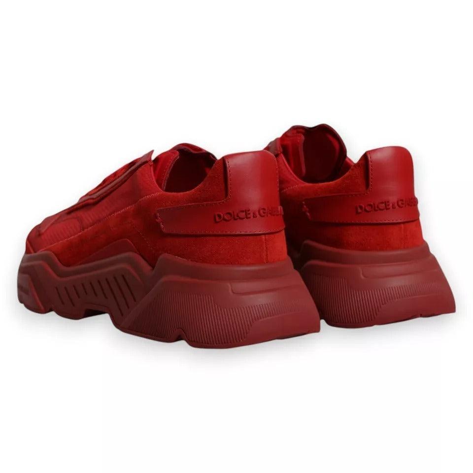 Dolce &amp; Gabbana Red Leather Daymaster Low Top Sneakers Shoes