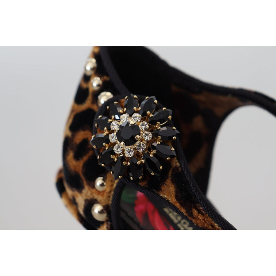 Dolce & Gabbana Brown Embellished Leopard Print Heels Shoes