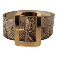 Dolce & Gabbana Brown Exotic Wide Waist Leather Gold Metal Buckle Belt