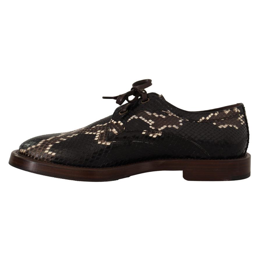 Dolce & Gabbana Elegant Formal Python Derby Shoes