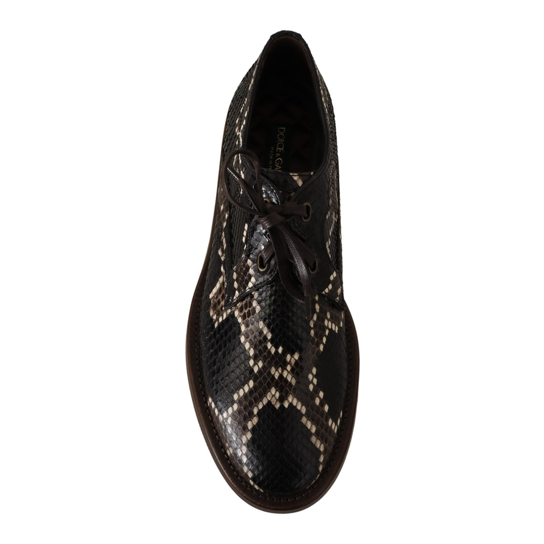 Dolce & Gabbana Elegant Formal Python Derby Shoes