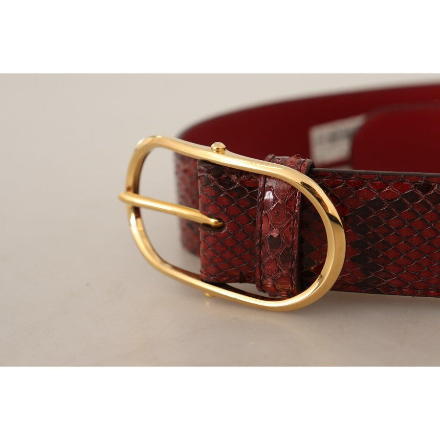 Dolce & Gabbana Elegant Red Snakeskin Leather Belt