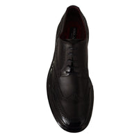 Dolce & Gabbana Elegant Calfskin Derby Oxford Wingtips