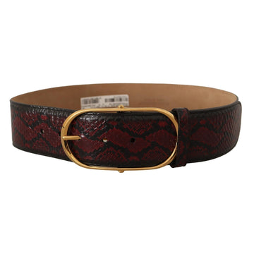 Dolce & Gabbana Elegant Red Python Leather Belt with Gold Buckle