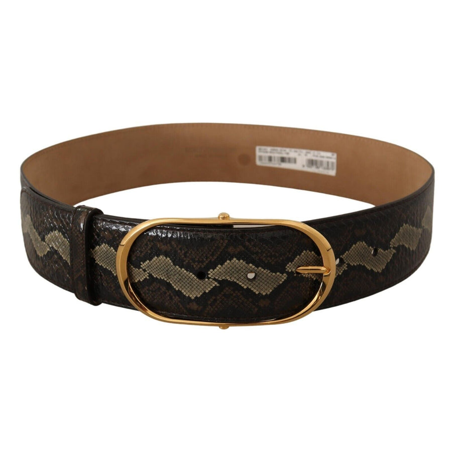 Dolce & Gabbana Elegant Snakeskin Belt with Gold Oval Buckle