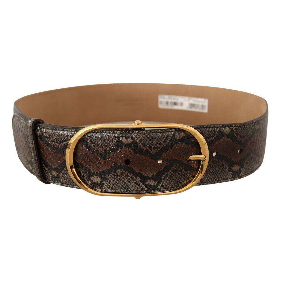 Dolce & Gabbana Elegant Brown Leather Belt with Gold Buckle